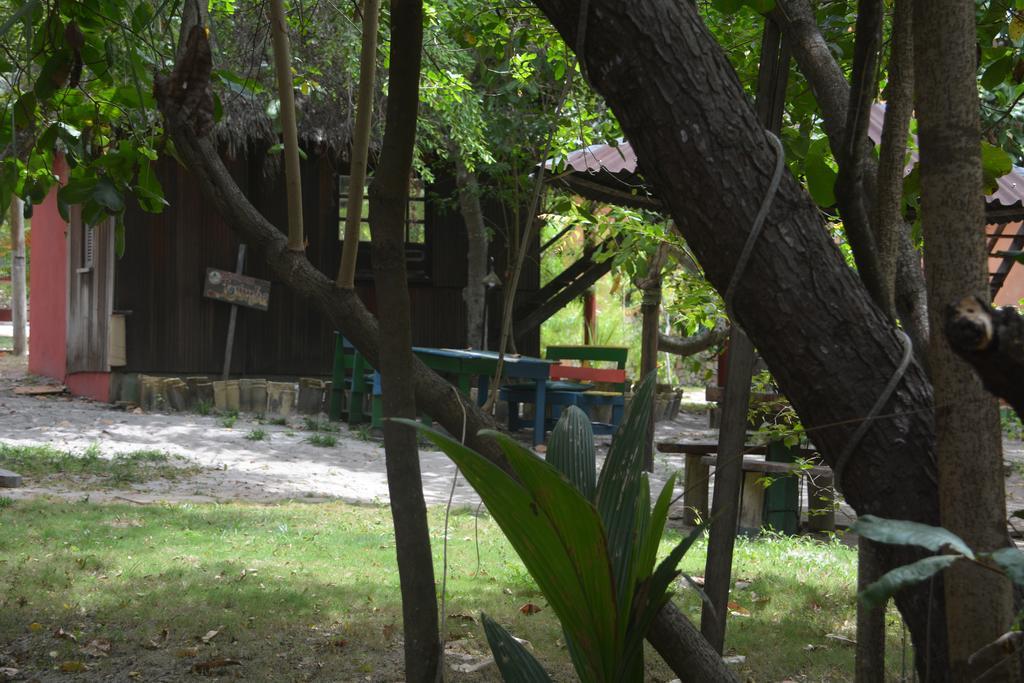 Imbassai Pousada Hostel Lujimba Exterior photo